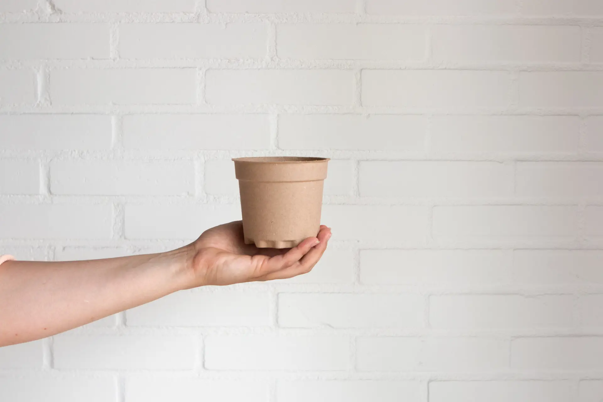 plantpot